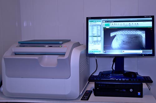 Station de développement radio numerique